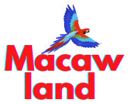 Macaw Land